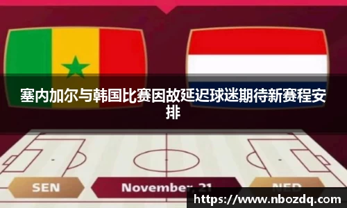 九游体育